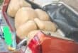 Two arrested after police seize 16 dagga bales worth R2 million