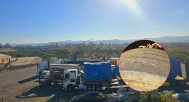 11 trucks impounded. Photo: KZN DOT