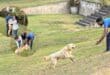 LNN Featured image_2 (5)