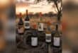 Saving lions, one bottle at a time: EWT campaign reaches halfway mark