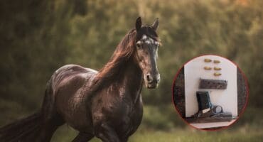 Man on horseback arrested after police find unlicensed gun