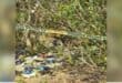 WATCH | Community shaken after woman’s body found dumped in Copesville