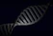 SA’s genetic diversity could hold key to more effective medicines