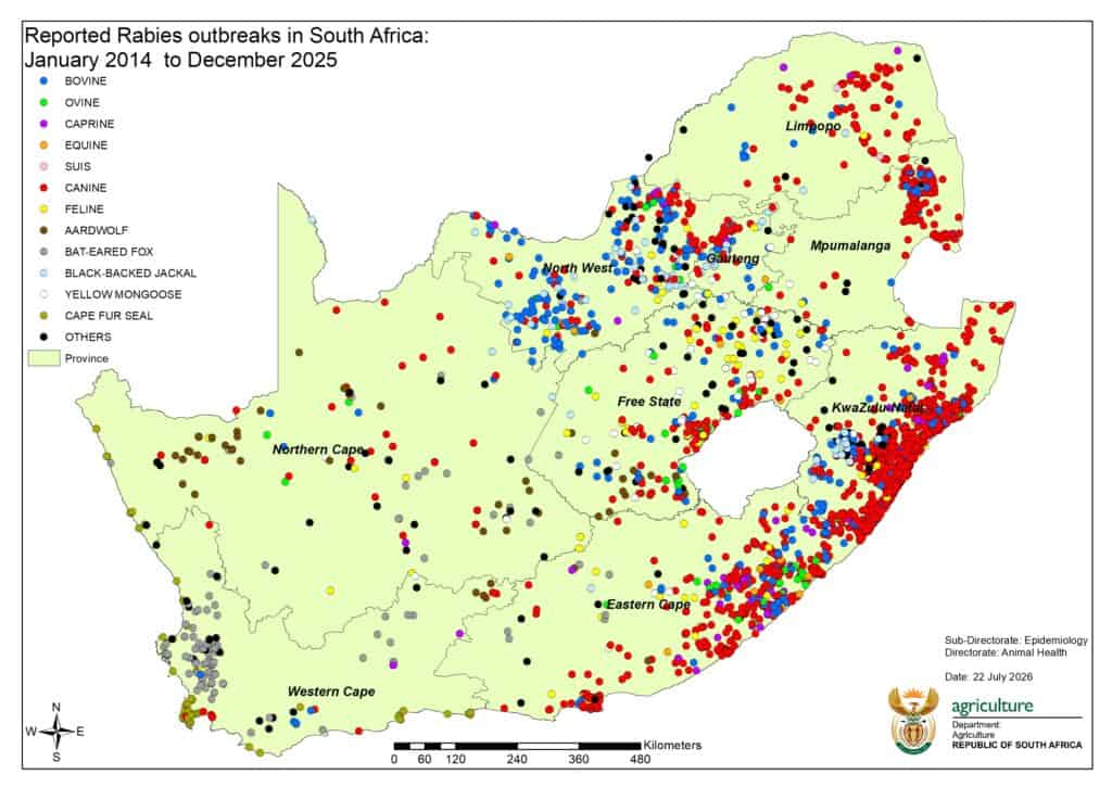 Rabies has already killed 15 people in SA this year | The Witness