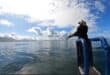 SA scientist makes history in global whale conservation