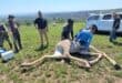 WATCH | Drone breakthrough leads to successful giraffe rescue