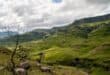 New EWT tool aims to ease growing battle for South Africa’s land