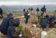 Dig, plant, win: Five KZN schools battle it out for Arbour Month title