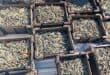 Municipal workers uncover R7m cache of historic ammunition