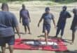 Rare Ramari’s beaked whale recovered from Southbroom beach