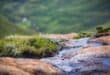 South Africa gets new Grasslands National Park in Eastern Cape