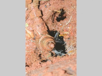 Die pyp waaruit water uit die watermeter lek.