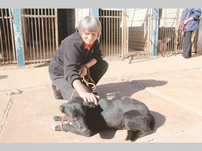 Louisa Erasmus vertoetel hierdie hond wat te bly is om 'n bietjie in die warm son te kan lê.