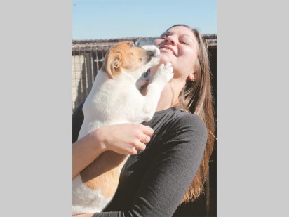 Celeste Watt het emosioneel geraak om die talle hartseer gesiggies van die diere by die Krugersdorp Dierebeskermingsvereniging te sien, maar dié Jack Russel-kruising het die trane oor haar wange gou met hondesoene vervang.