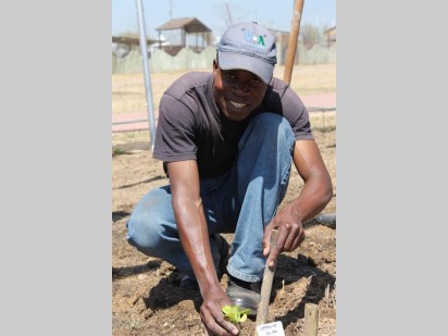 Steven Mphaga planting some lettuce. 