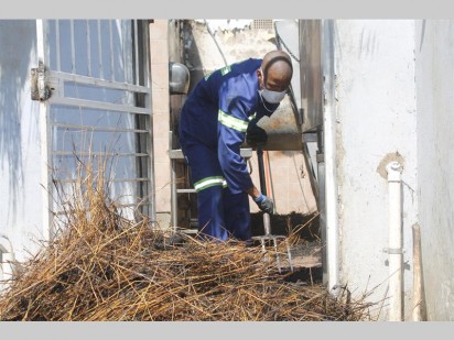 Tshepo Sepofu verwyder die oorblywende gras in die kombuis.