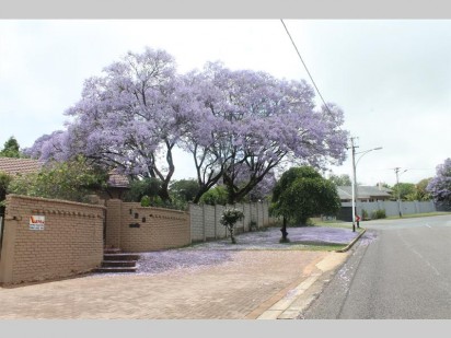 Pragtige pers bloeiselsl in Krugersdorp.