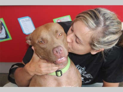 Under Dog SA Volunteer Janeke van Tonder showing Liefie some love.