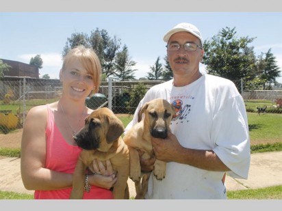 Shayne Ephron en Ruben Hensberg van Friends of Rescued Animals (Fora) hou hier die twee Daxie-Sharpei-kruising boeties Frommel en Juke van 12 weke oud vas.