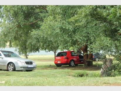 Dit lyk of die kat in die donker geknyp word in die voertuig onder die boom by Kroningspark.