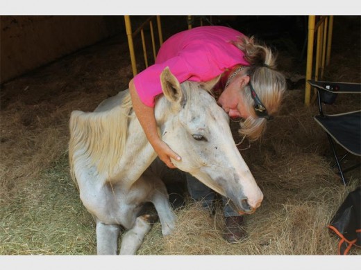 Tracey Rob comforts Hope after losing her foal (baby)
