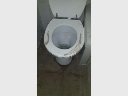 Sal jy jou kind so 'n toilet laat gebruik?
