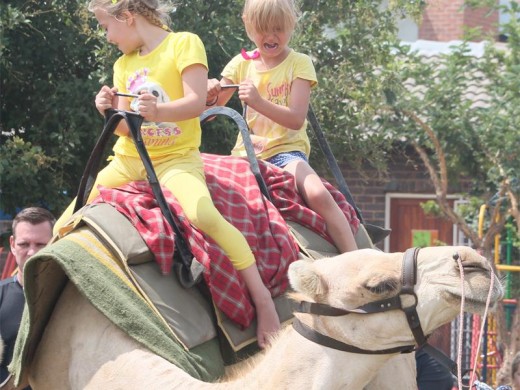 Hier het Giselle Steyn en Bianca Cilliers se senuwees begin knaag toe dié kameel gaan plat lê het na afloop van hulle rit.