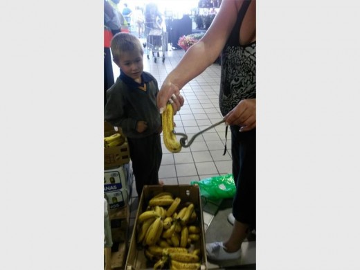 Dit is duidelik dat hierdie seuntjie nie 'n bang haar op sy kop het soos hy die slang van nader wil bekyk nie. Foto: Verskaf.