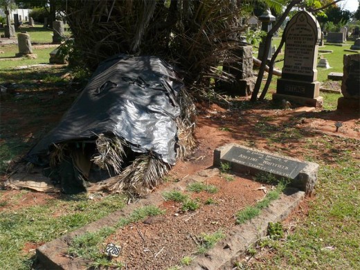Willem Willemse woon al jare lank onder die palmboom, langs mense wat amper 90-jaar gelede hier in die Burgershoop Begraafplaas te ruste gelê is.