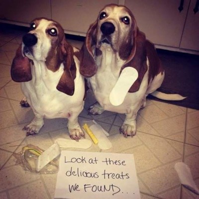 FB_IMG_1432490457672