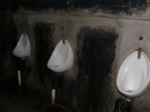 The newly installed male crip facilities is already blocked with just one in perfect working condition.
