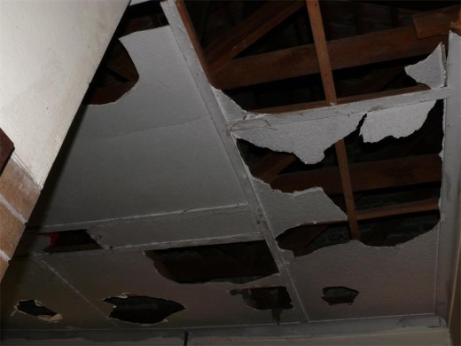 Parts of the ceiling are missing in the public toilet facility.