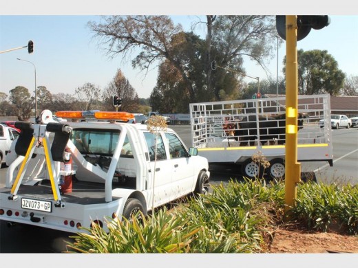 An accident involving two vehicles and two head of cattle.