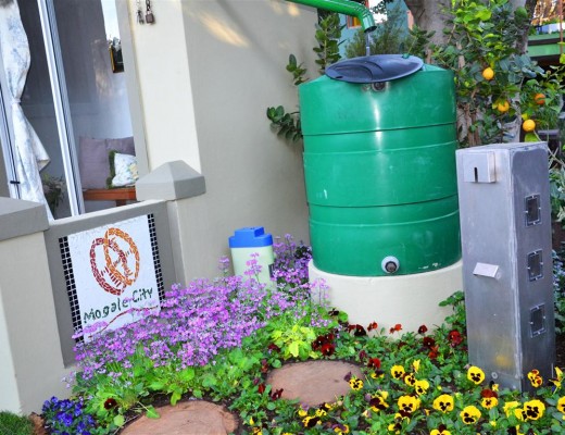 Mogale City's garden.