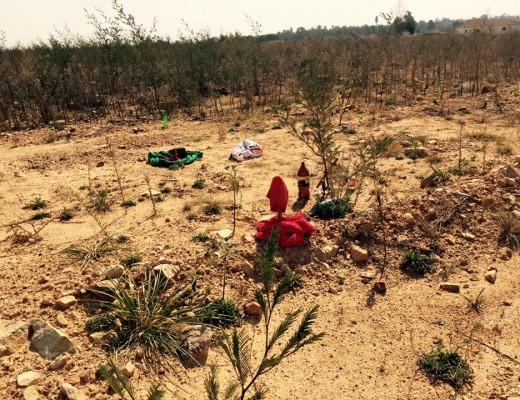 Fabric left abandoned in a field.