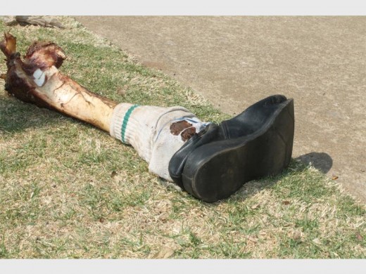 The bone dressed in a sock and shoe had the residents of the street talking.
