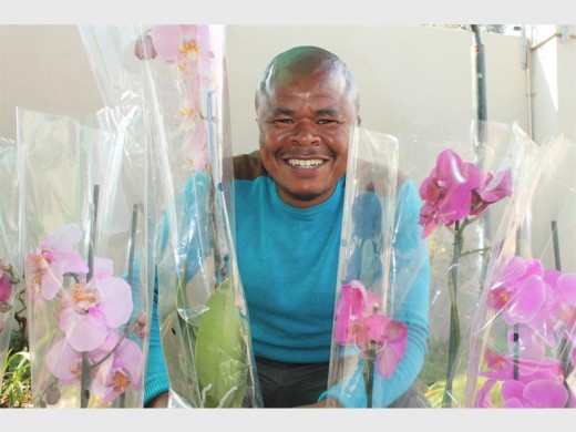 Benson Vikilahle known as the Orchid Man in Krugersdorp.