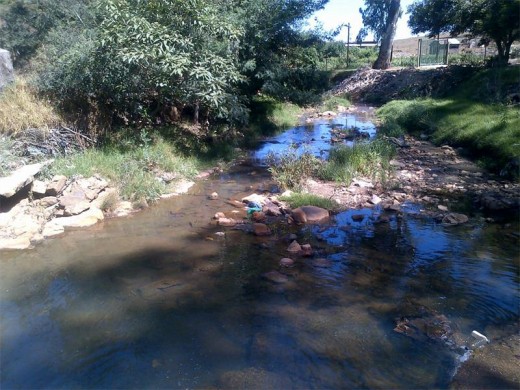 The spruit known as Blougat among residents.