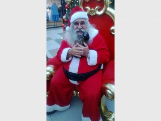 Santa with a little pet monkey on his lap.