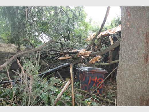 Mother Nature's wrath after lightning hit a tree at Robein Nursery yesterday.