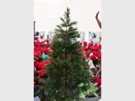 The Christmas tree that decorated the hall where the children were accommodated.