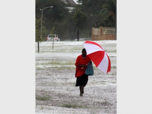 Trying to get away from the big hail. Photo: Carla Shannon.