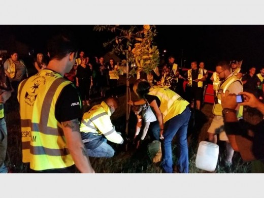 CPF 8 patollers plant a tree in honour of a golden legend.