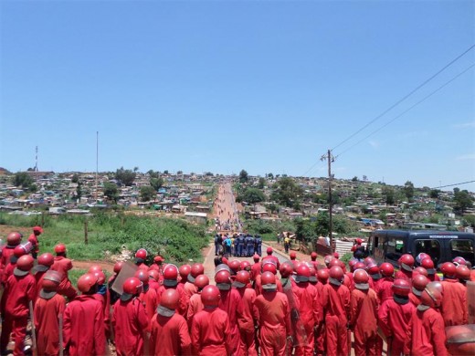 Somewhat 150 Rad Ants gather to enter Munsieville.