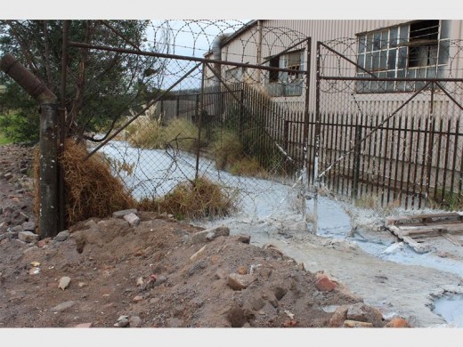 The water has been flowing like this for a long time, Freddie said.
