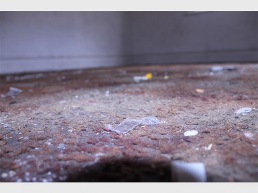 The carpets of the house covered in empty drug packets.