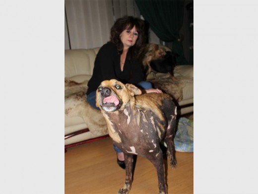 Ceasar raak soms ongemaklik in die winter, het Elane (agter) vir die News gesê. Maar hier is hy die gelukkige hond wat almal ken.