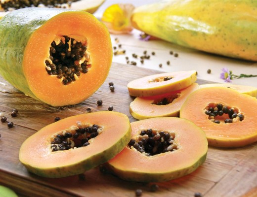 FVC tv_Paw Paws_Landscape2 (Medium)
