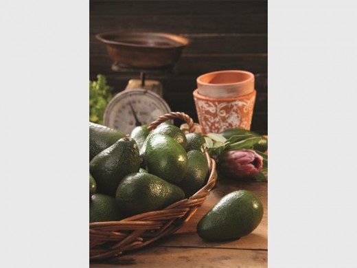 FVCtv_Avos_Portrai_06947