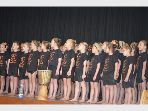 Laerskool Kenmare se koor.